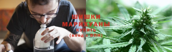мдпв Михайлов