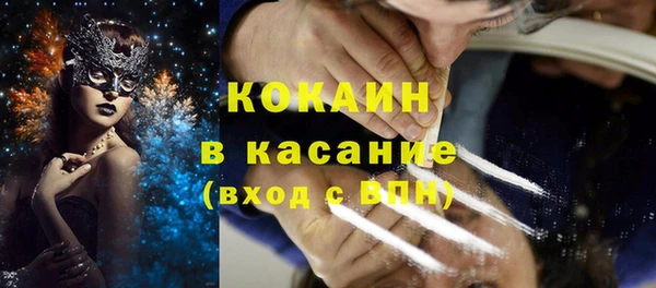 мдпв Михайлов