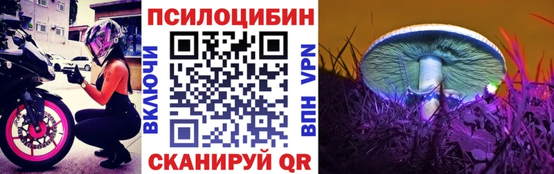 Купить где  Прохладный  Псилоцибиновые грибы GOLDEN TEACHER 